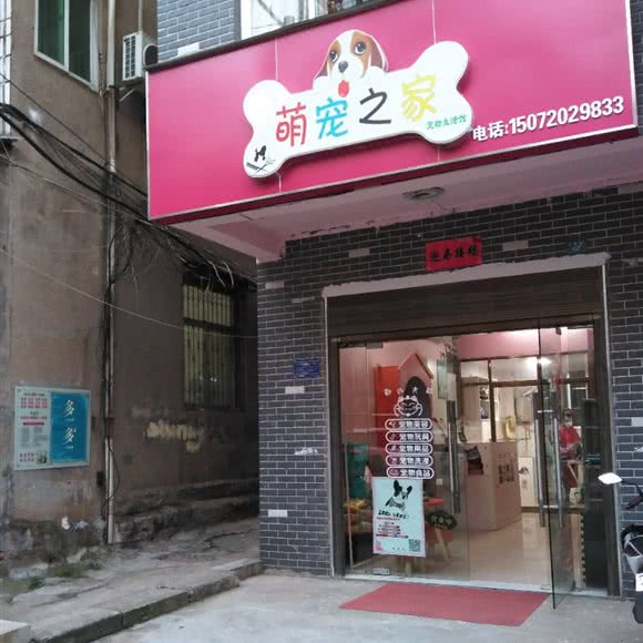 萌宠之家:黄石市铁山区九龙广场附近