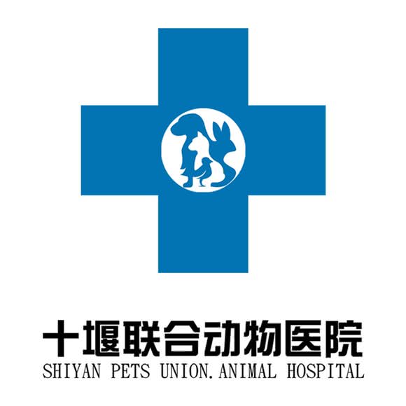 联合动物医院(六堰总院):十堰市茅箭区六堰广场附近