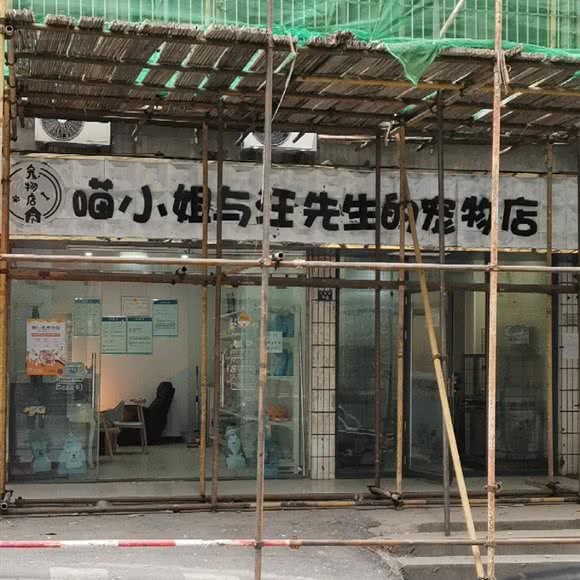 喵小姐与汪先生的宠物店:十堰市张湾区人民公园附近