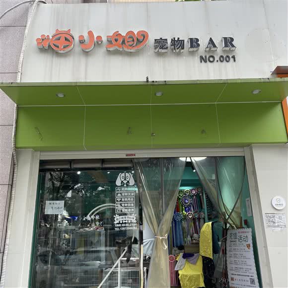 喵小姐宠物BAR:宜昌市西陵区葛洲坝附近