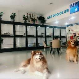 宠物沙龙旗舰店:宜昌市西陵区解放路步行街附近