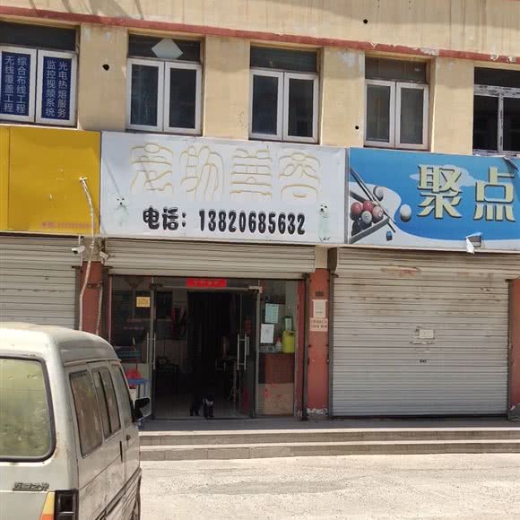 宠物美容:天津城区东丽区军粮城附近