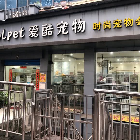 爱酷宠物时尚会所(胜利四路店):宜昌市西陵区胜利四路附近