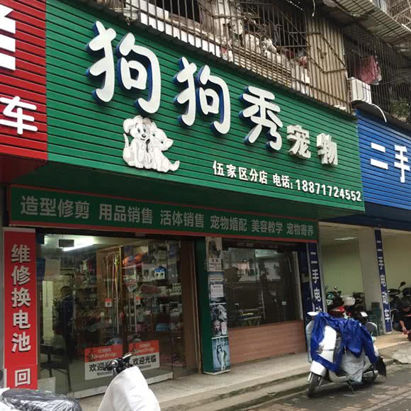 狗狗秀宠物(伍家区店):宜昌市伍家岗区万达广场附近