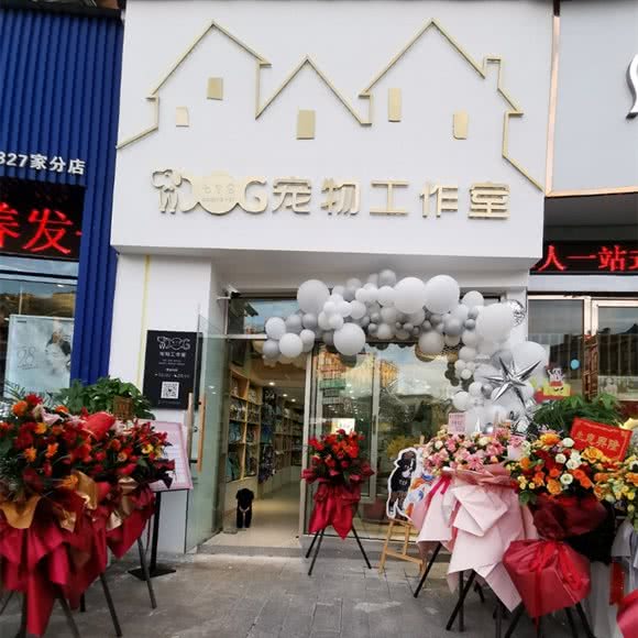 七个它宠物工作室:宜昌市伍家岗区江山多娇附近