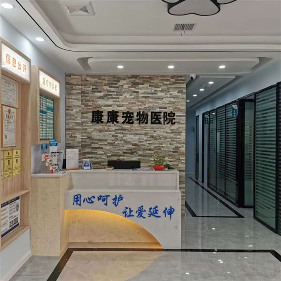 康康宠物医院(金东方店):宜昌市伍家岗区江山多娇附近