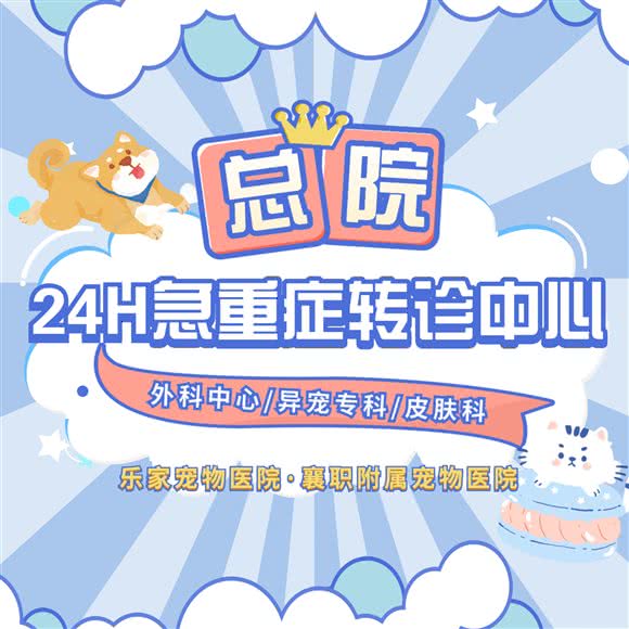 乐家宠物医院·转诊中心·襄职附属宠物医院:襄阳市襄城区襄城武商附近