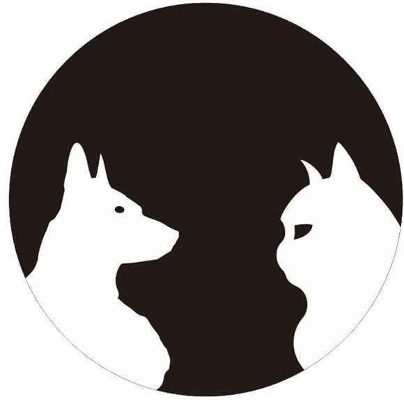 宠抑云:襄阳市樊城区人民广场附近