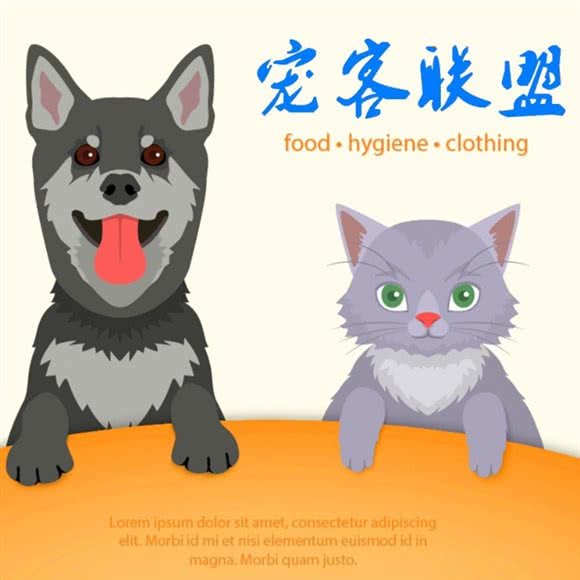 宠客联盟:襄阳市樊城区人民广场附近
