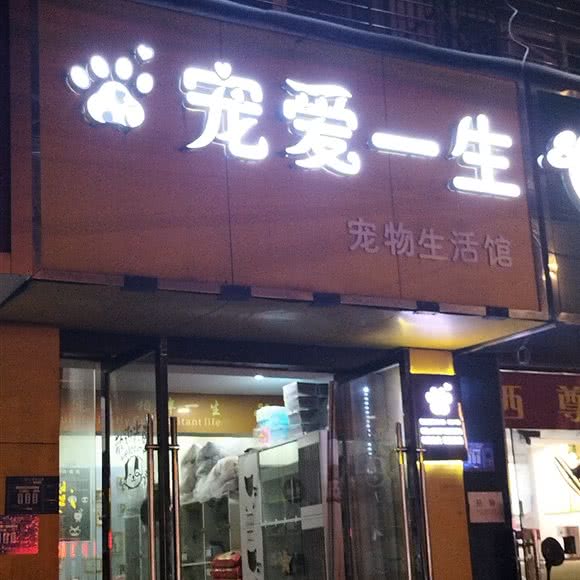 宠爱一生:襄阳市樊城区华丰路/风华路附近
