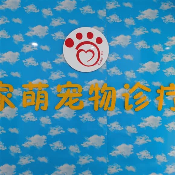 家萌宠物诊疗:襄阳市樊城区华丰路/风华路附近