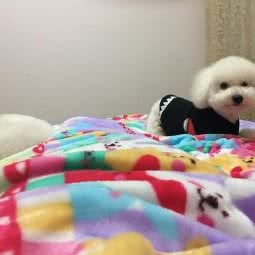 天天萌宠物乐园:襄阳市樊城区万达附近