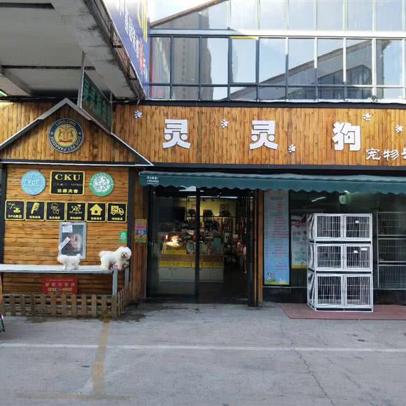 灵灵狗宠物乐园旗舰店:襄阳市樊城区万达附近
