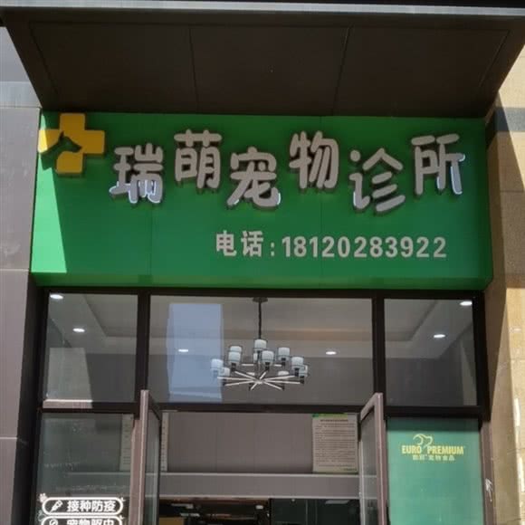 瑞萌宠物诊疗中心:襄阳市樊城区万达附近