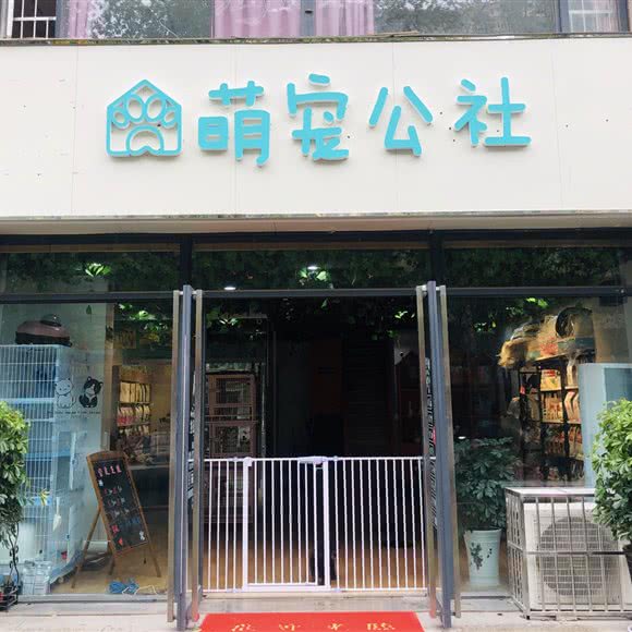 优宠时光:襄阳市樊城区华洋堂附近