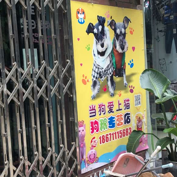 当狗爱上猫狗粮专营店:鄂州市华容区葛店镇附近
