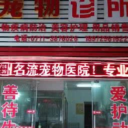 名流宠物医院:鄂州市鄂城区滨湖北路/凤凰广场附近