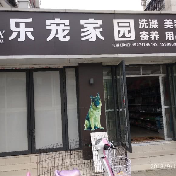 乐宠家园:荆门市东宝区南台/天鹅广场附近