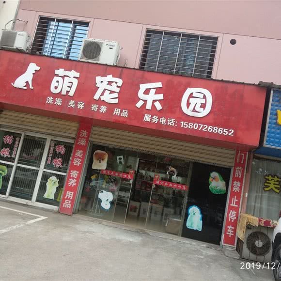 萌宠乐园(白云大道店):荆门市东宝区南台/天鹅广场附近