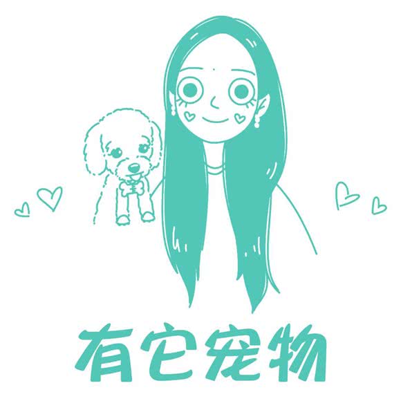 有它宠物:孝感市孝南区乾坤购物附近