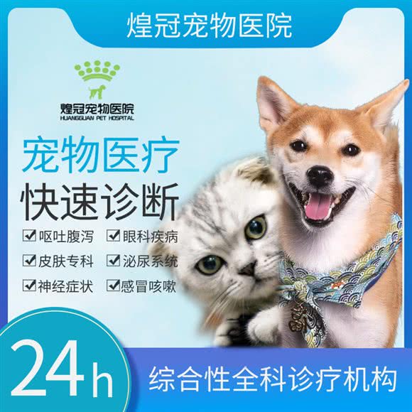 煌冠宠物医院(东丽湖店):天津城区东丽区华侨城欢乐谷附近