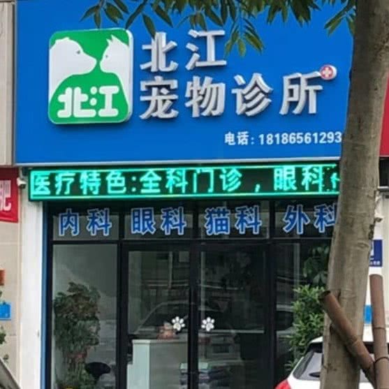 北江宠物诊所:荆州市沙市区大庆路附近
