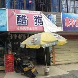 酷狗族:荆州市沙市区园林路附近