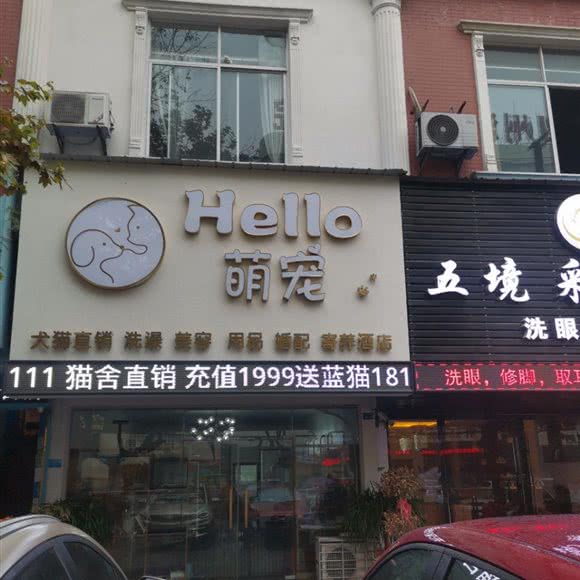 hello萌宠:荆州市沙市区江汉北路附近