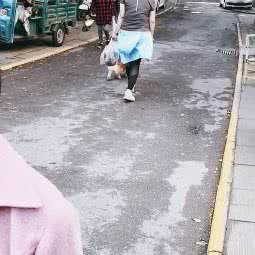 荆州BLACKPET宠墨猫狗生活馆:荆州市沙市区太岳路附近