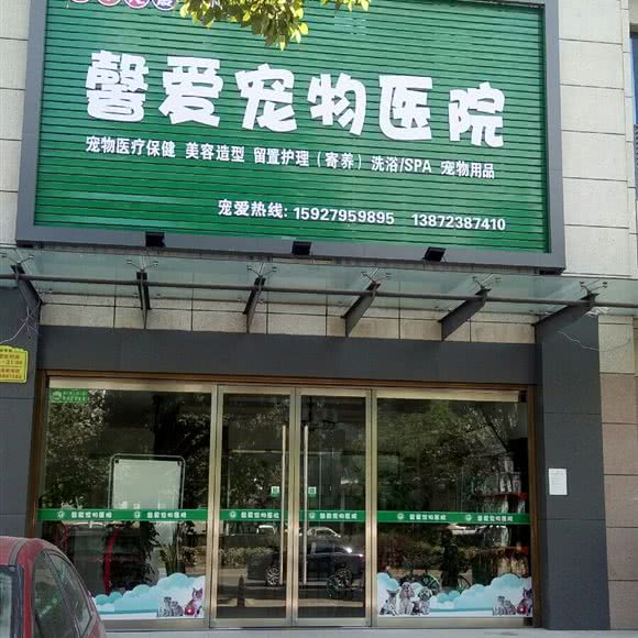 馨爱宠物医院:荆州市沙市区新加坡城国际附近