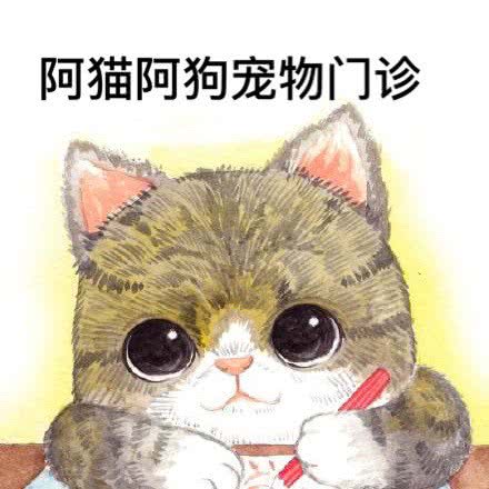 阿猫阿狗宠物门诊:荆州市荆州区新南门附近