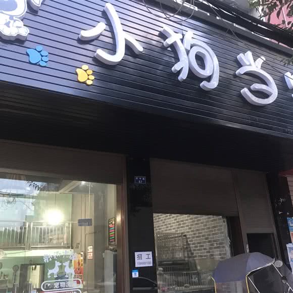 小狗当家:荆州市监利市监利市附近