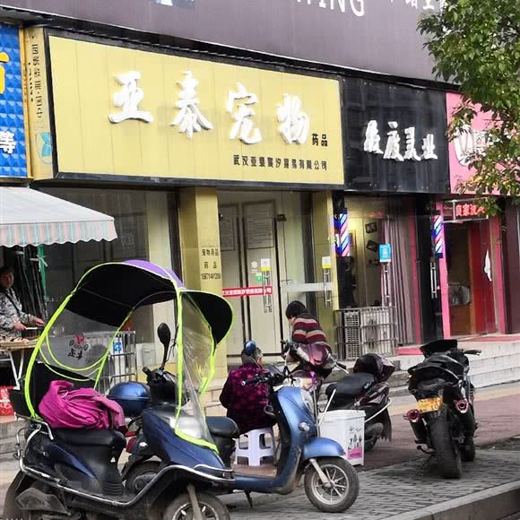 亚泰宠物:咸宁市咸安区咸宁火车站附近