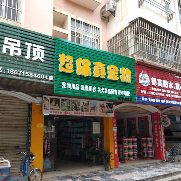超保真宠物(温泉店):咸宁市咸安区湖北科技学院附近