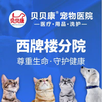 贝贝康宠物医院(西牌楼分院):长沙市芙蓉区司门口附近
