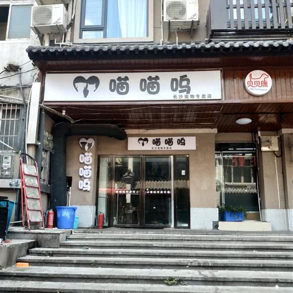 喵喵呜长沙宠物专卖店:长沙市芙蓉区五一广场附近