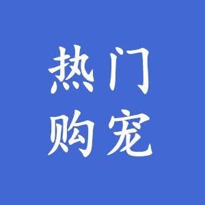 CKU湘诚购宠·大型宠物售卖中心·活体犬舍猫舍:长沙市芙蓉区五一广场附近