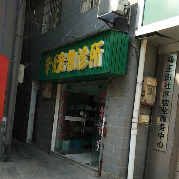 挚爱宠物诊所:长沙市芙蓉区五一广场附近