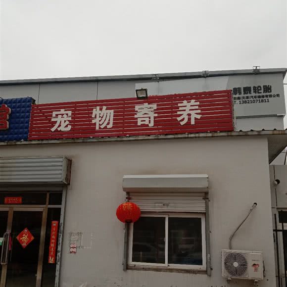 宠物寄养:天津城区西青区中北镇附近