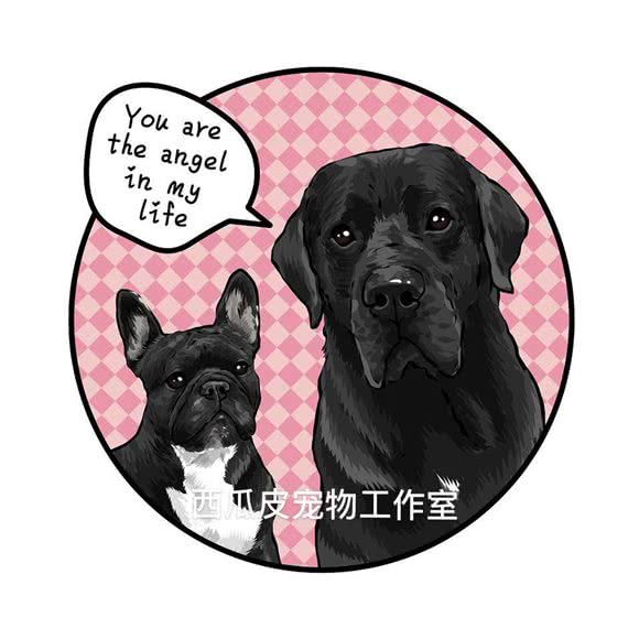 西瓜皮宠物蛋糕宠物工作室:天津城区西青区中北镇附近