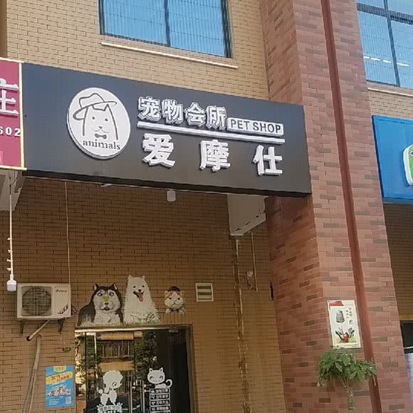 爱摩仕宠物会所:长沙市芙蓉区万家丽北路附近
