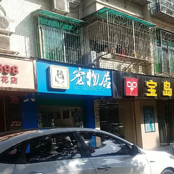 内涵段子宠物店:长沙市芙蓉区万家丽北路附近