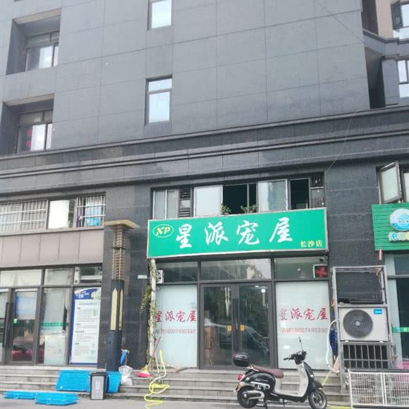 星派宠屋(长沙店):长沙市芙蓉区万家丽北路附近