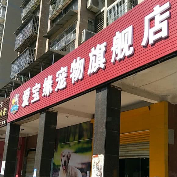 爱宝缘宠物店:长沙市芙蓉区晚报大道附近