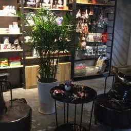 Dan.宠物生活体验馆:长沙市芙蓉区汽车东站附近