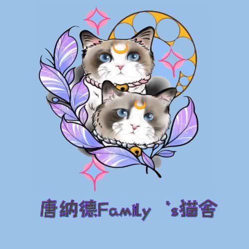 乔纳森Familyの猫舍:天津城区西青区中北镇附近