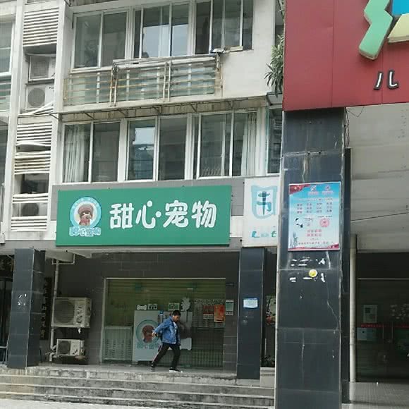 甜心宠物:长沙市天心区芙蓉南路沿线附近