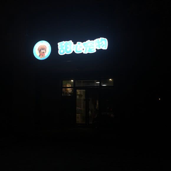 甜心狗狗:长沙市天心区芙蓉南路沿线附近