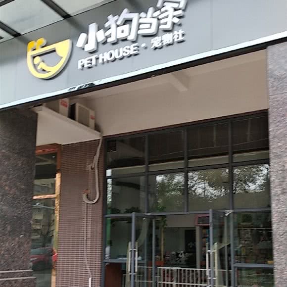 小狗当家宠物社:长沙市天心区芙蓉南路沿线附近