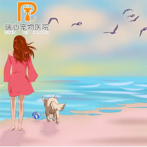 泰心宠物医院:长沙市天心区芙蓉南路沿线附近